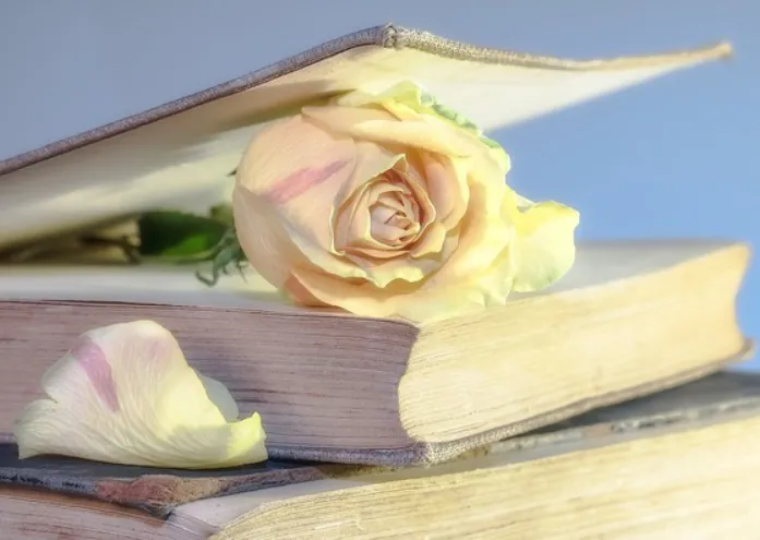 Meine persönl. Erfahrung Gelb-rosa Rosenblüte zwischen den Deckeln eines alten Buches.