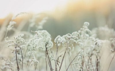 Seelentiefe entdecken: 5 Schritte zu deiner inneren Wahrheit