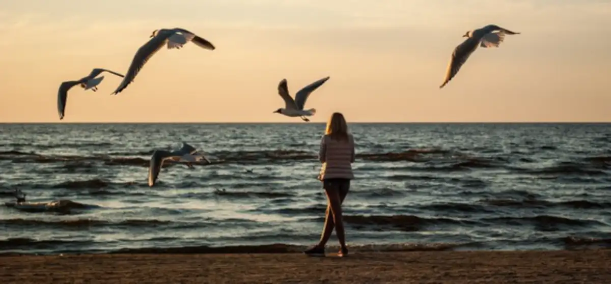 Was bedeutet Seelentiefe Frau am Strand schaut in der Dämmerung dem Flug der Möwen zu.