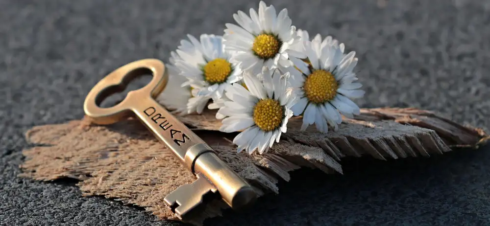 gewinnspiel Vier Margeritenblüten mit einem mit "Dream" gravierten alten Schlüssel auf einem Stück Holz.