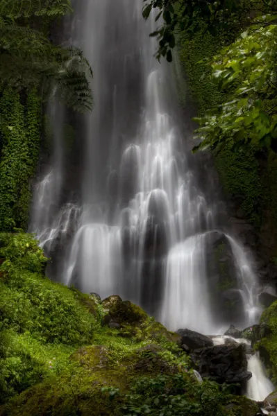 wege Wasserfall, der in einem Wald mit viel Grün gen Boden stürzt.