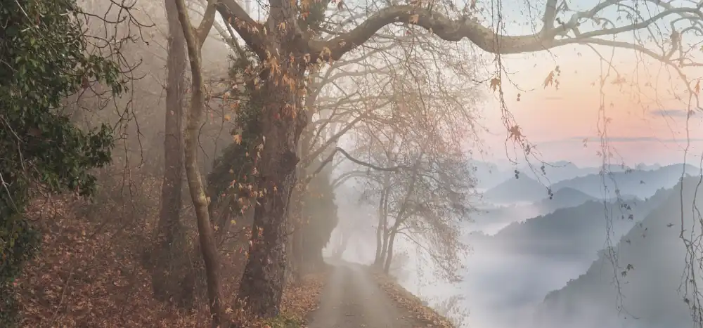 people-pleasing-herbstweg Weg an einem Hang, links herbstlicher Wald, rechts nebelumwobene Hügel