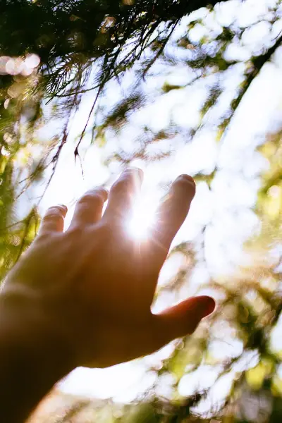 Eine Hand streckt sich nach den Sonnenstrahlen