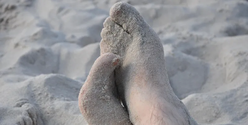 fazit-frequenz-performance